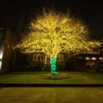 Outdoor & Seasonal Lighting holiday lighting portfolio britescape 014