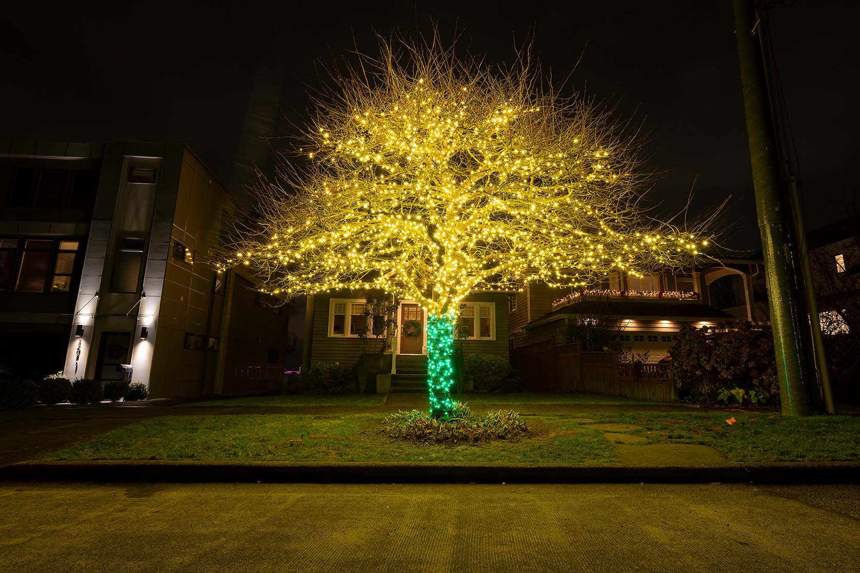 Outdoor & Seasonal Lighting holiday lighting portfolio britescape 014