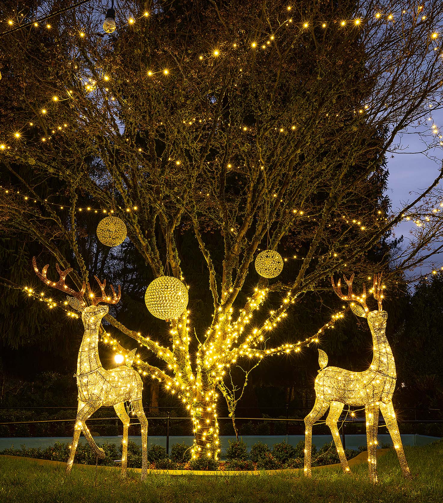Outdoor & Seasonal Lighting holiday lighting